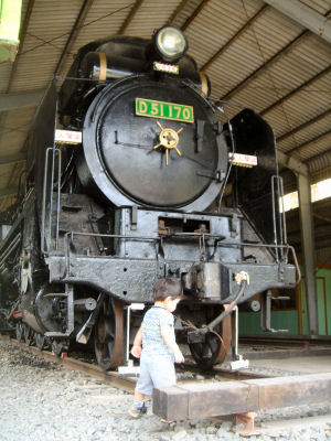 D51 170